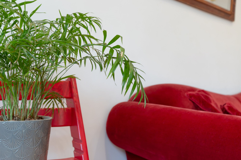 Room 5, Axarqu a in Malaga With 2 Bedrooms and 1 Bathrooms, Málaga