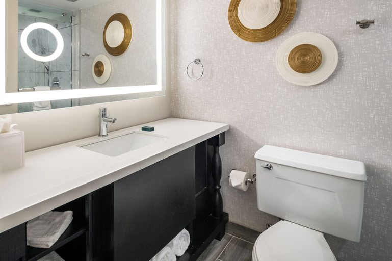 Bathroom 4, Hilton Appleton Paper Valley, Outagamie