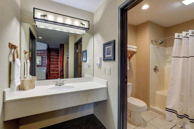 Bathroom 3, Stoney Creek Hotel La Crosse - Onalaska, La Crosse
