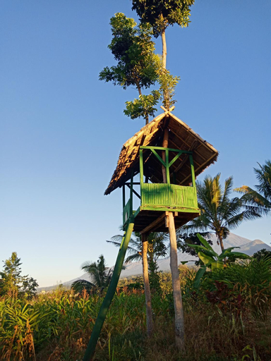 Scenery 11