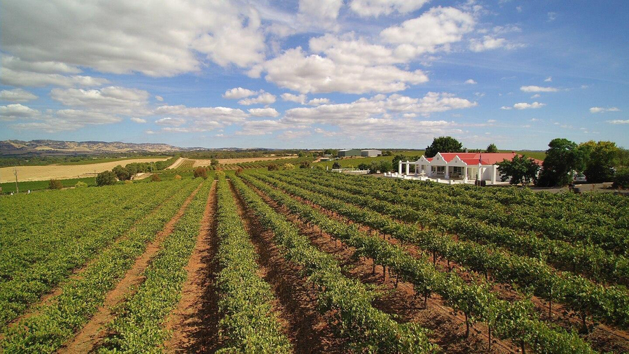 Barossa 1837 Luxury Vineyard Cottage 3, Barossa