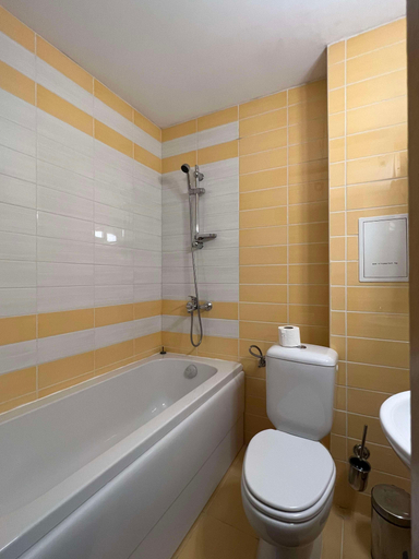 Bathroom 4, Local Stay, Razlog