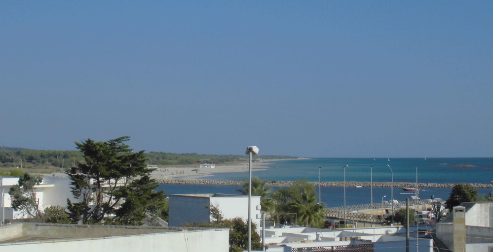 Others 5, Araucaria, Lecce