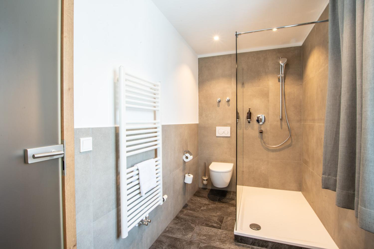 Bathroom 5, Alpengasthof Hörnlepass, Bregenz
