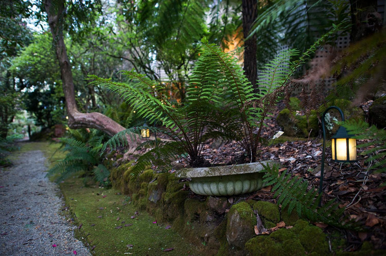 Scenery 13