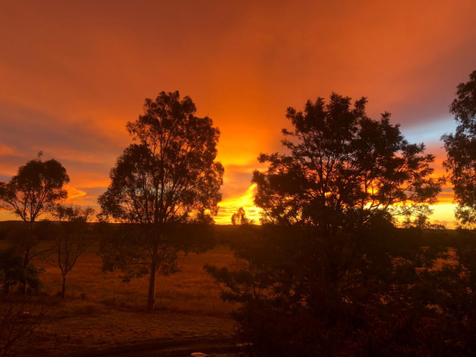 Others 5, Maple Leaf Cottage, Dubbo - Pt B