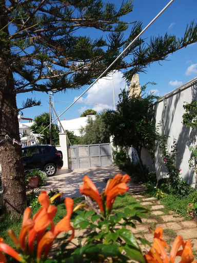 Others 4, Araucaria, Lecce