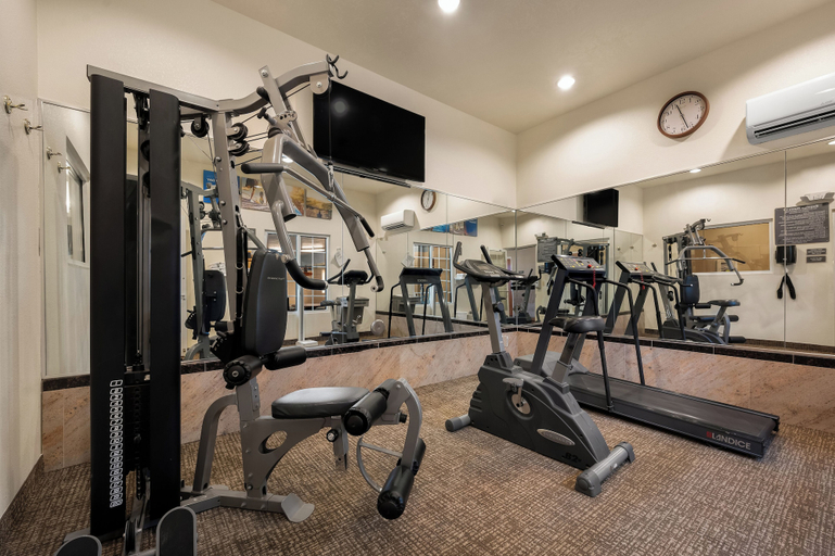 Others 5, Comfort Inn & Suites Fenton, Genesee