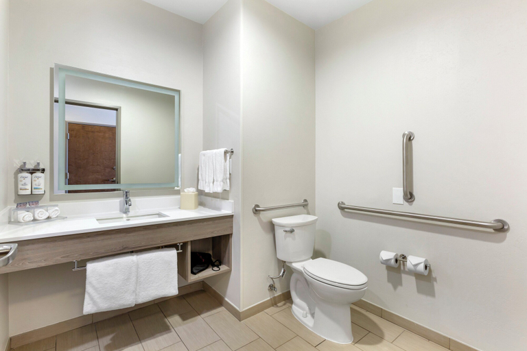 Bathroom 5, Holiday Inn Express & Suites BELGRADE by IHG, Gallatin