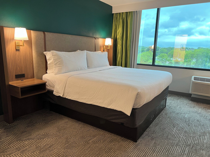Bedroom 5, Holiday Inn NASHVILLE DOWNTOWN - STADIUM, Davidson