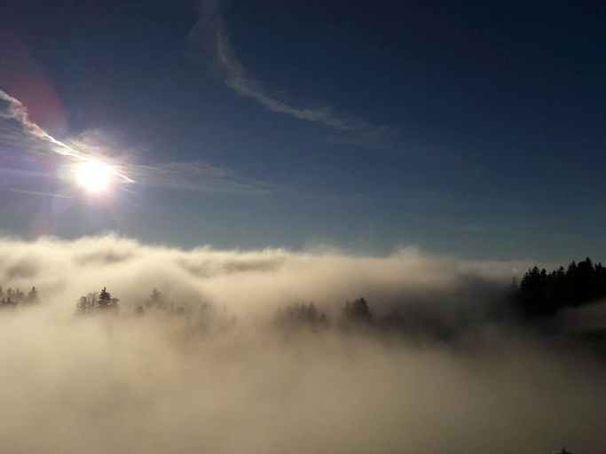 Others 3, Großzugige Ferienwohnung am Skigebiet Bodele mit Rheintalblick, Dornbirn