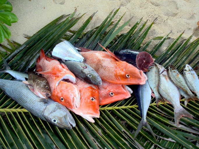 Food & Drinks 5, Chalets Bougainville