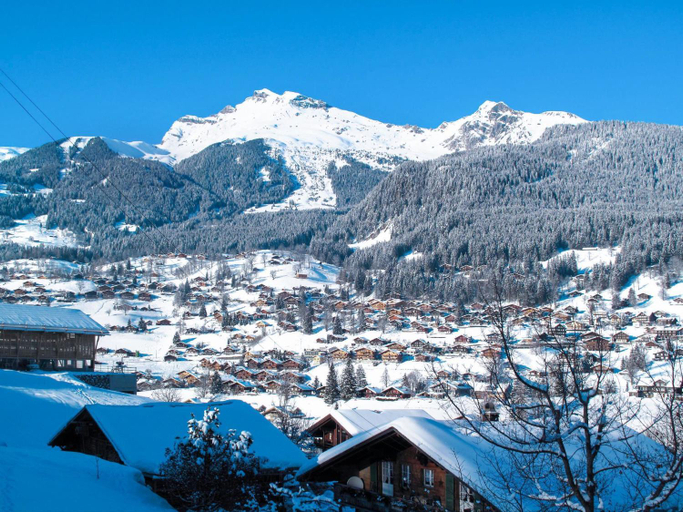 Others 5, Apartment Schwendihus by Interhome, Interlaken