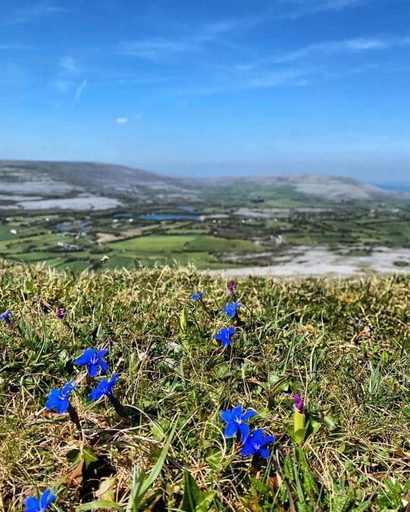 Others 3, Burren Rock Farmhouse B&B