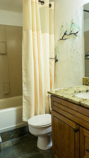 Bathroom 3, Ski Trails 4058, Placer