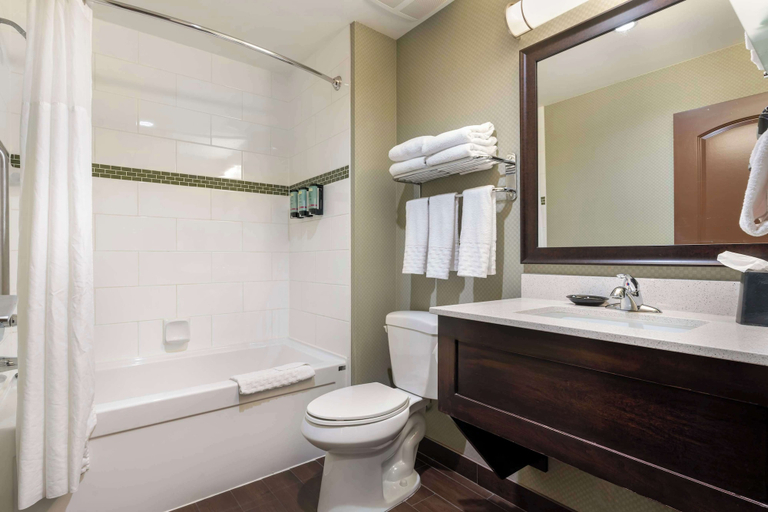 Bathroom 4, Best Western Pacific Inn, North Okanagan