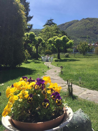 Others 4, B&B Il tempo del sogno con cani e gatti Pet&Breakfast, Verbano-Cusio-Ossola