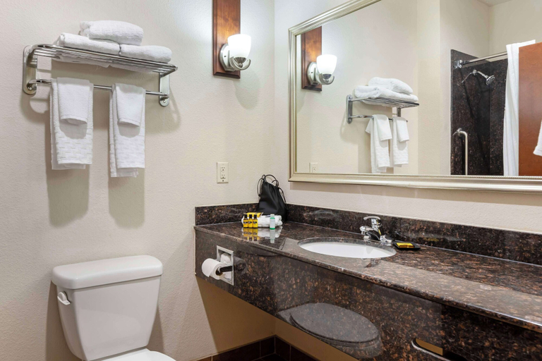 Bathroom 4, Best Western Plus Greenville South, Anderson