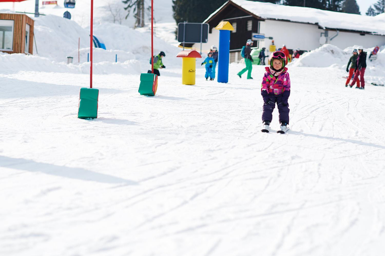Others 3, Alpe Oberstdorf, Oberallgäu