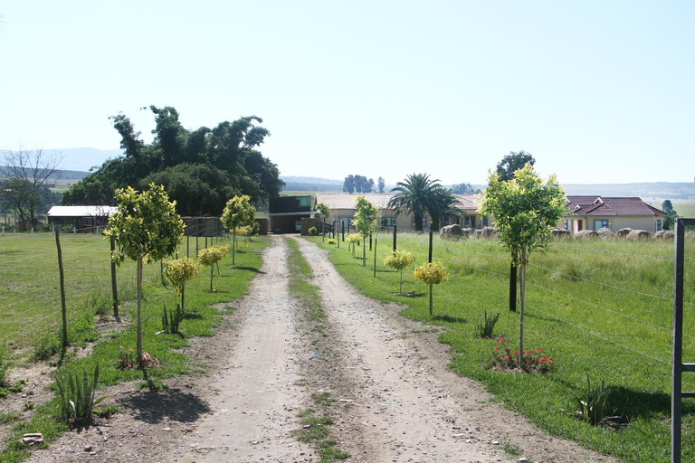 Others 5, Black Horses Lodge & Conferencing, Zululand
