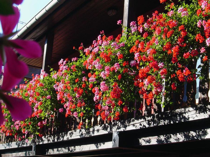 Gites-Weyer n°1, Haut-Rhin