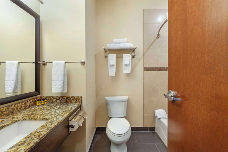 Bathroom 4, Best Western Plus Peace River Hotel & Suites, Division No. 19