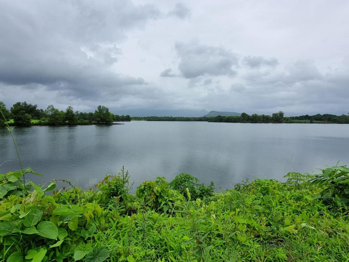 Others 4, NS Brothers Farm & Resort, Raigarh