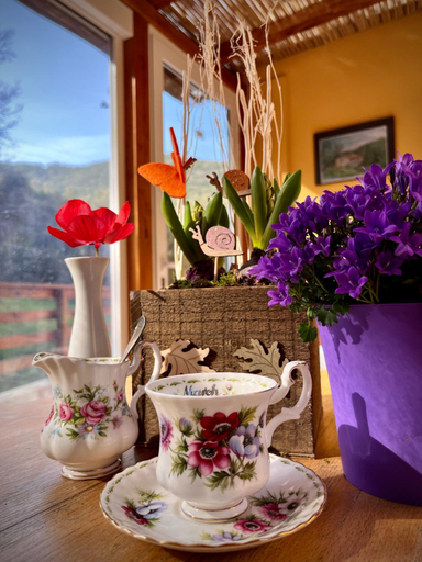 Food & Drinks 2, B&B La Fucinaia Pet Friendly, Livorno