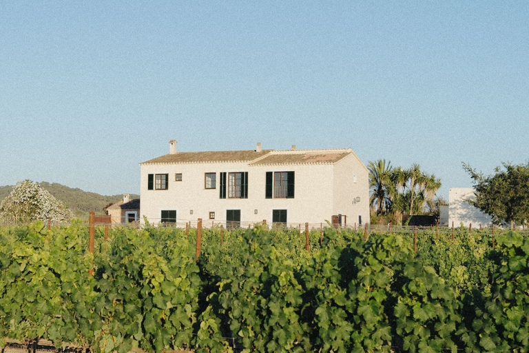 Exterior & Views 2, Vino Resort Son Amaret, Baleares