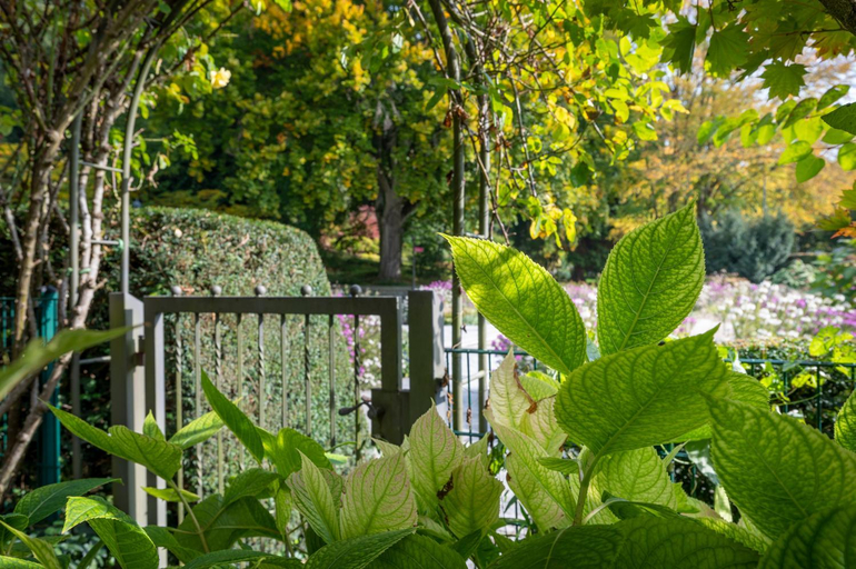Others 2, Hotel Garni Villa Rosengarten, Bodenseekreis