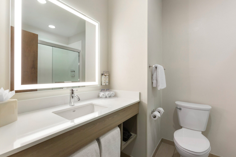 Bathroom 5, Holiday Inn Express & Suites BELGRADE by IHG, Gallatin