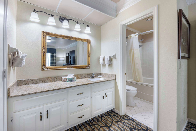 Bathroom 4, Best Western Spring Hill Inn & Suites, Maury