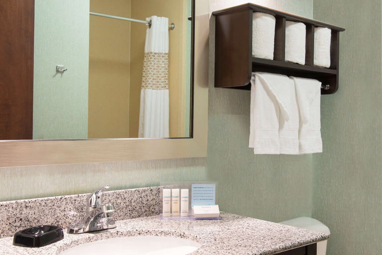 Bathroom 4, Hampton Inn and Suites Kokomo, Howard