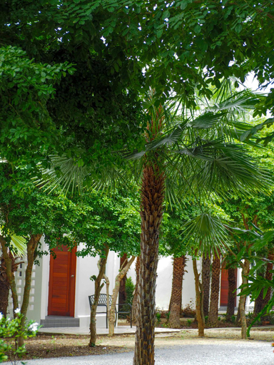 Others 4, Premnattra Garden House, Muang Chai Nat