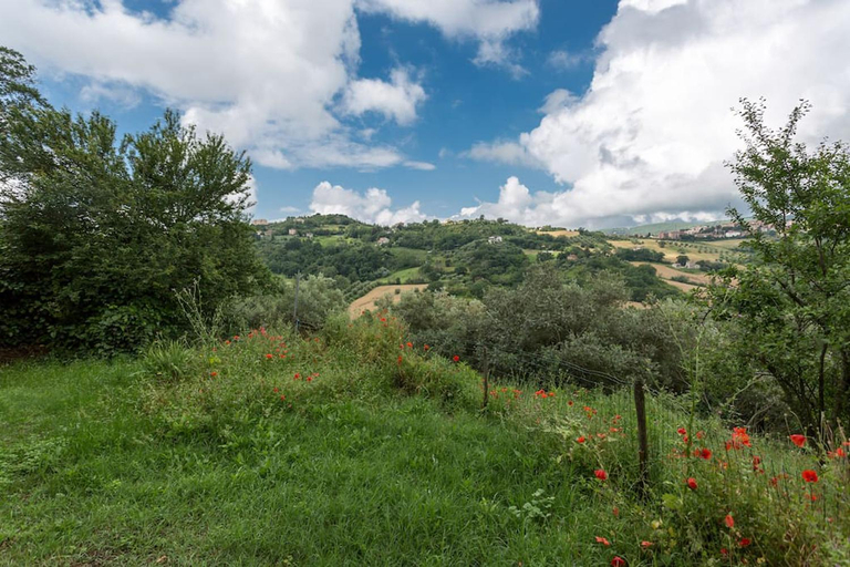 Others 5, Agriturismo Il Poggio degli Scoiattoli, Perugia
