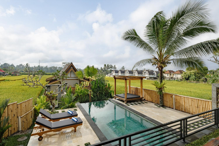 Swimming Pool 7