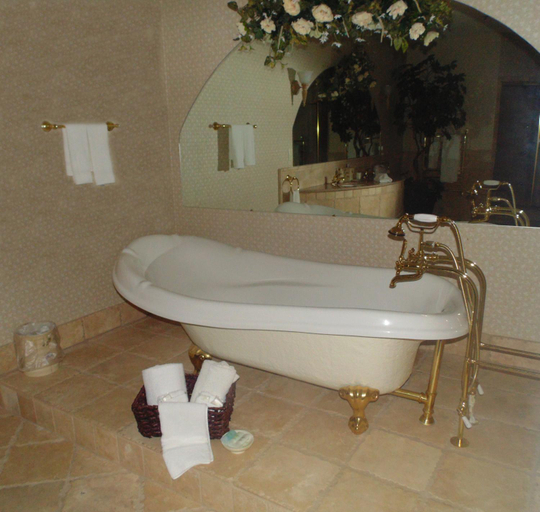 Bathroom 4, Lakeside Resort & Conference Center, Roscommon
