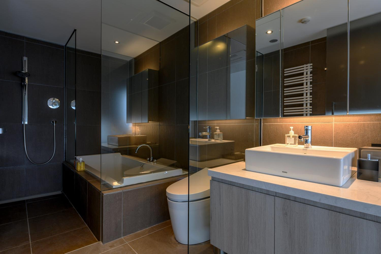 Bathroom 5, Hinzan, Kutchan