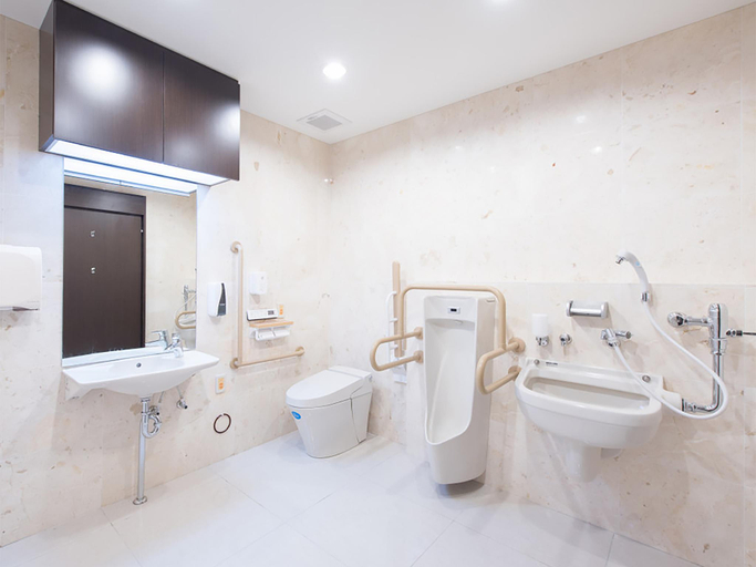 Bathroom 4, Toyoko Inn Iseshi Eki, Ise