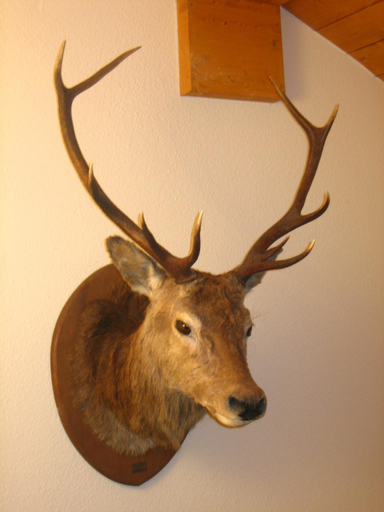Others 2, Chalet Les Jumelles, Savoie