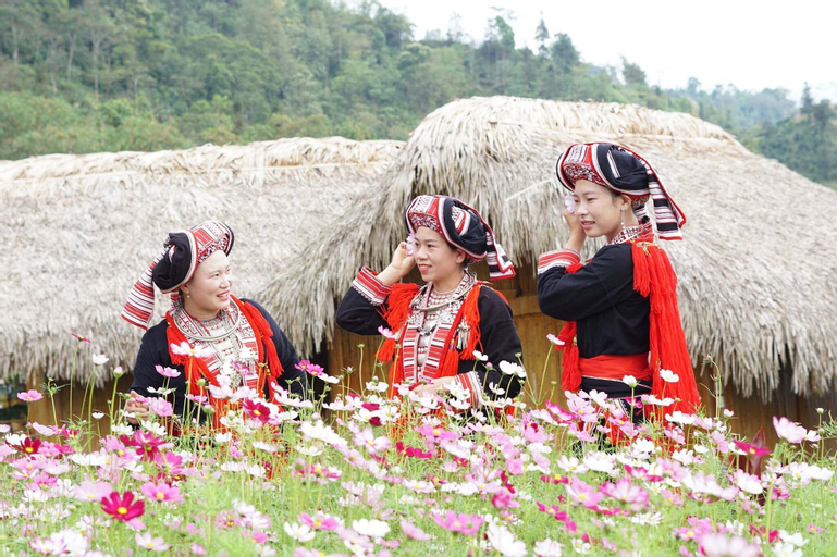 Hoang Su Phi Lodge, Hoàng Su Phì