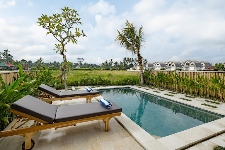 Swimming Pool 14