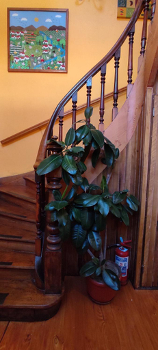 Others 2, Hostal Dinamarca, Valparaíso