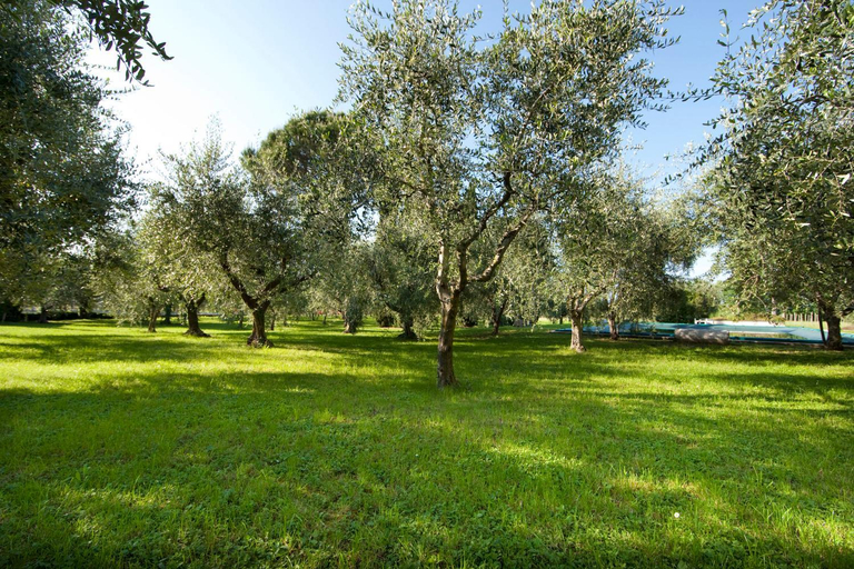 Facilities 3, Agrigturismo Monte Cicogna, Brescia