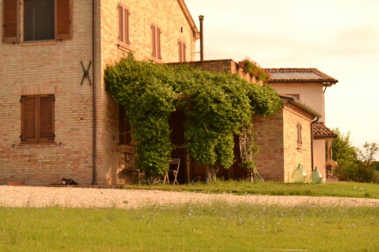 Others 5, B&B Le Tamerici, Pesaro E Urbino