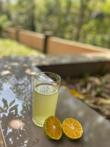 Food & Drinks 5, The Green Thumb Farm Stay & Nursery , Kottayam
