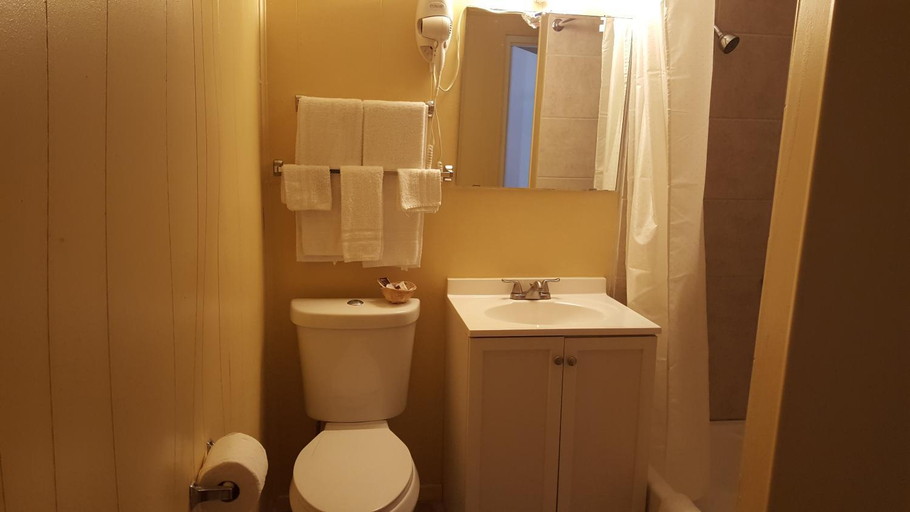 Bathroom 4, Royal Inn, Brown