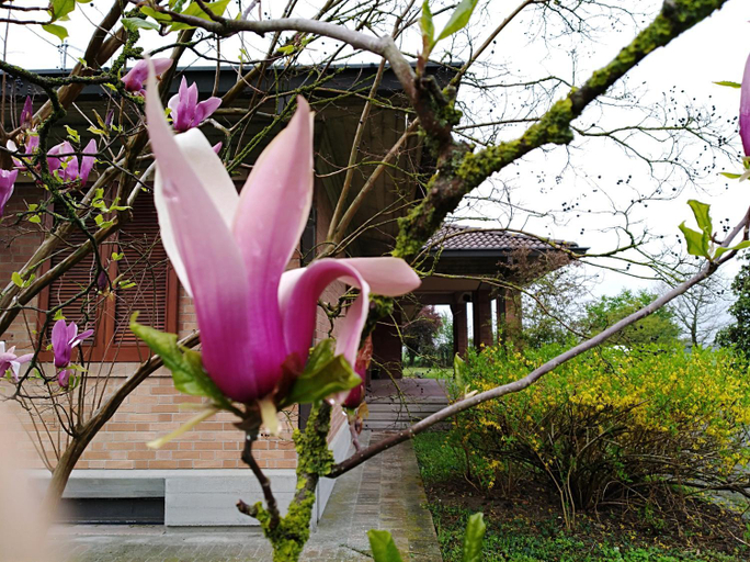 Entrance 5, Agriturismo i Quercioli, Parma