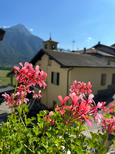 Exterior & Views 1, Sotto al Bosco B&B e Azienda Agricola, Sondrio