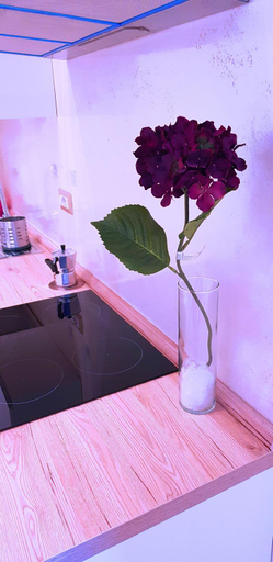 Bathroom 2, Green Oasis, Rome